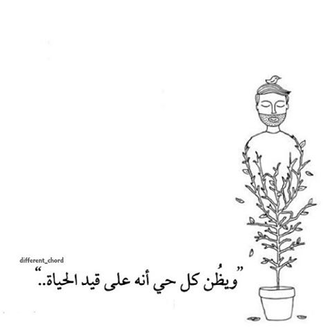 نتيجة بحث الصور عن امثال بالفصحى